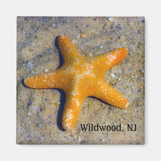 Imán Starfish in the Sand with Beach Town (Frente)