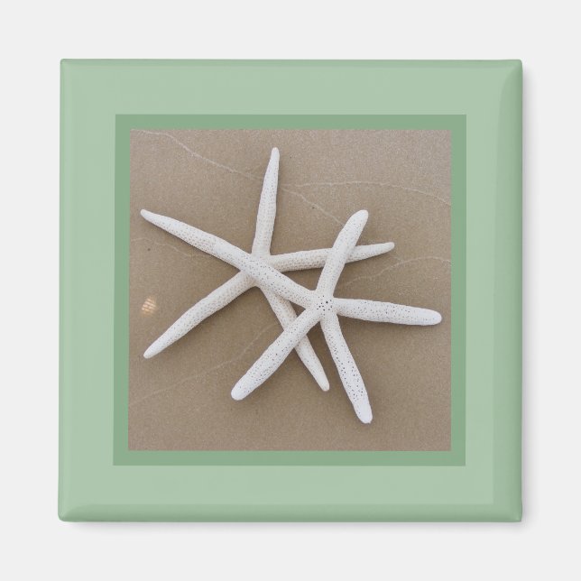 Imán Starfish Magnet (Frente)