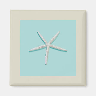 Imán Starfish Magnet