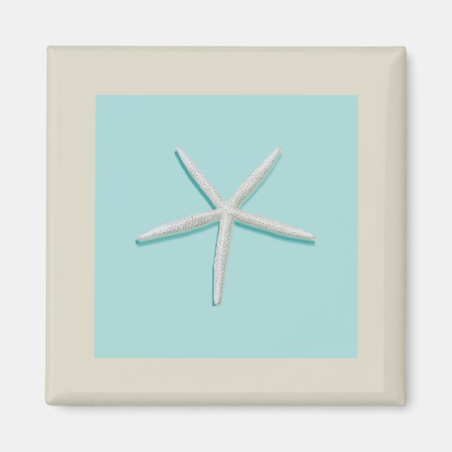 Imán Starfish Magnet (Frente)