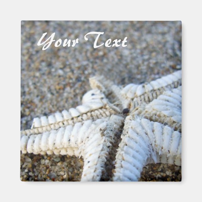 Imán Starfish Magnet (Frente)