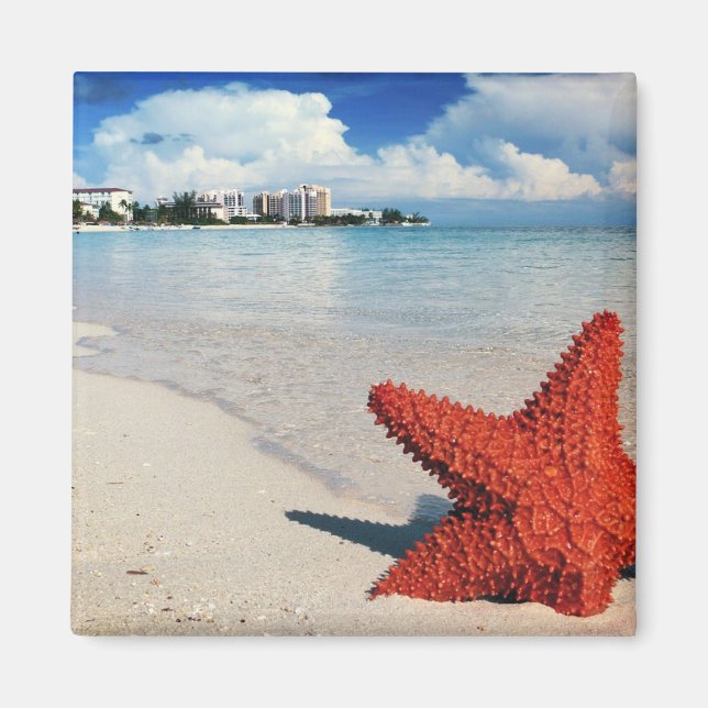 Imán Starfish, Nassau, Bahamas (Frente)