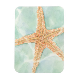 Imán Starfish náutico en el agua