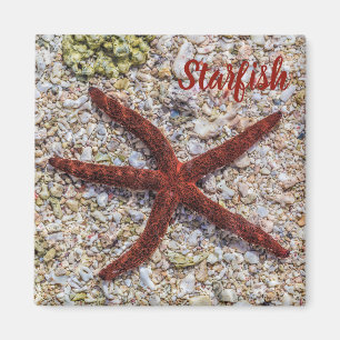 Imán Starfish Ocean Vintage Beach Retro Souvenir