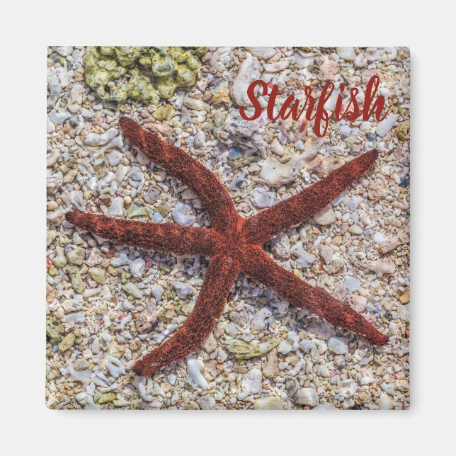 Imán Starfish Ocean Vintage Beach Retro Souvenir (Frente)