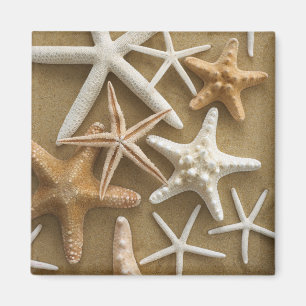 Imán Starfish On The Sand