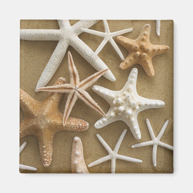 Imán Starfish On The Sand (Frente)