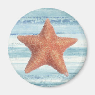 Imán Starfish pintado en franjas de color azul
