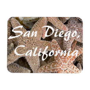 Imán Starfish por todas partes, San Diego, California