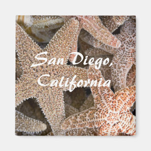 Imán Starfish por todas partes, San Diego, California