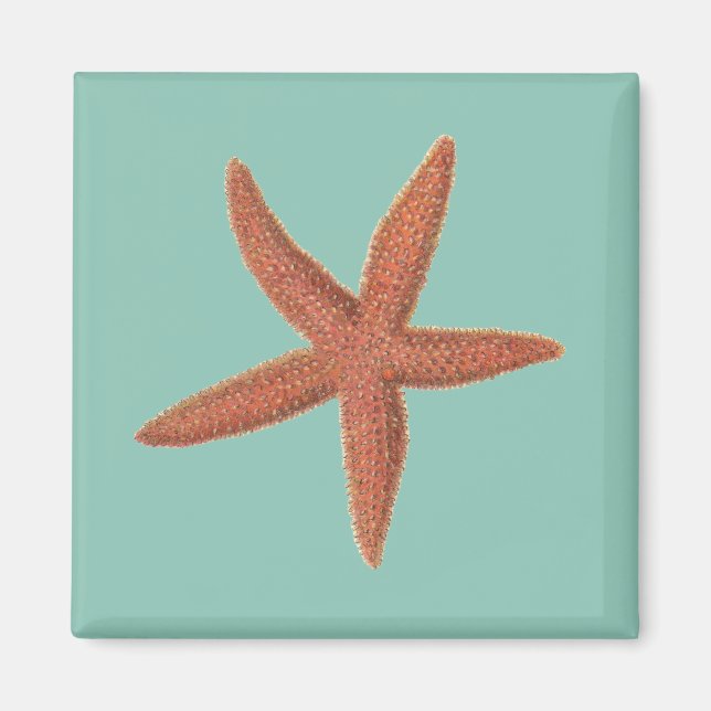Imán Starfish - Sherman Denton Fish Lithograph (Frente)