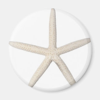 Imán Starfish solitario