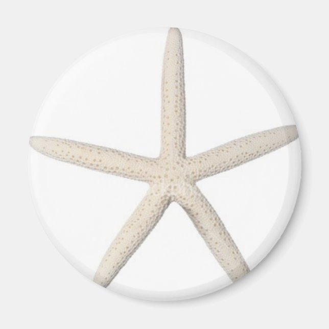 Imán Starfish solitario (Frente)