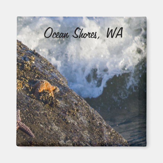 Imán Starfish & Waves Magnet (Frente)