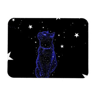 Imán Stargazing del gato