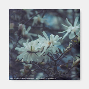 Imán Starry Magnolia 3172