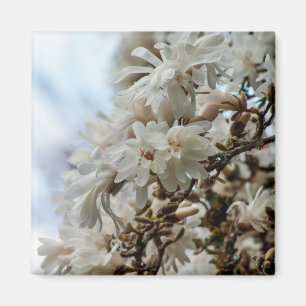 Imán Starry Magnolia 5781