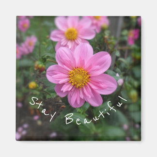 Imán Stay Beautiful Pink Dahlia