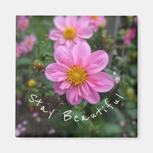 Imán Stay Beautiful Pink Dahlia (Frente)