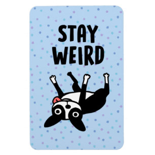 Imán Stay Weird Funny Boston Terrier Dog