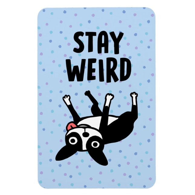Imán Stay Weird Funny Boston Terrier Dog (Vertical)