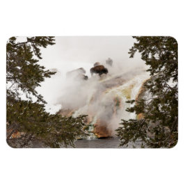 Imán Steamy Bison en el Parque Nacional Yellowstone