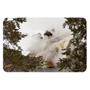 Imán Steamy Bison en el Parque Nacional Yellowstone