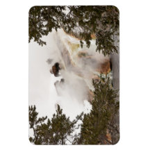 Steamy Bison en el Parque Nacional Yellowstone