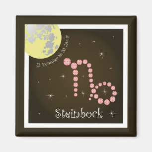 Imán Steinbock 22. Dezember bis 20. Januar Magnet