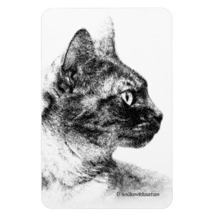 Imán Stella el gato gris