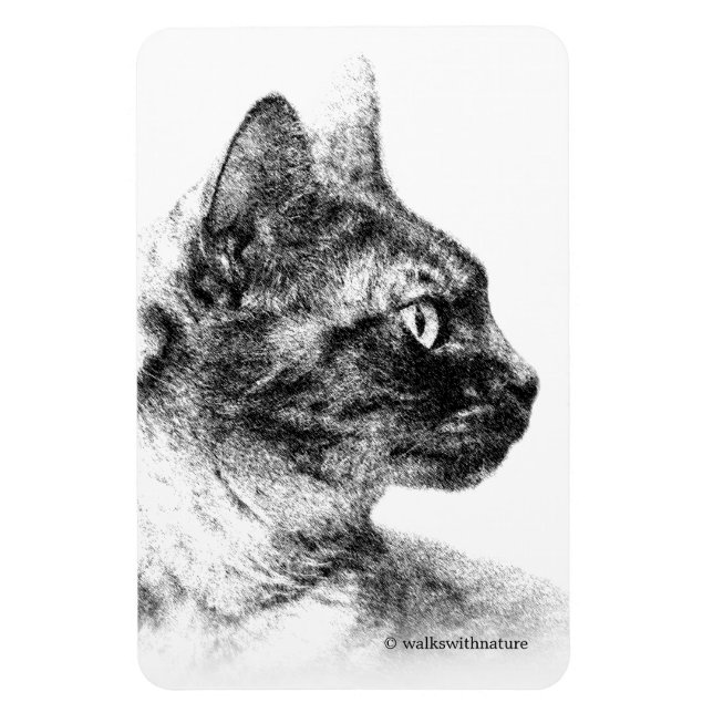 Imán Stella el gato gris (Vertical)