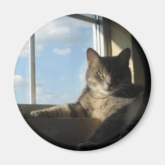 Imán stella window imnet