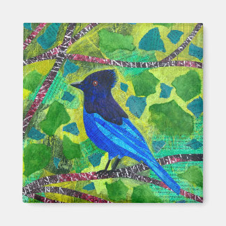 Imán Stellar Jay