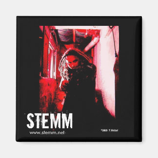 Imán STEMM: Joe MAGNET