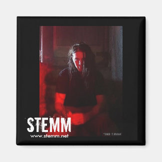Imán STEMM: Steve Magnet