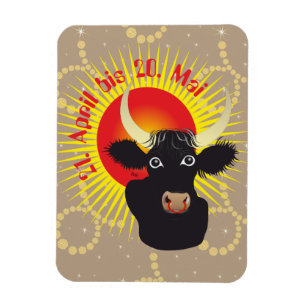 Imán Stier 21. Abril bis 20. Magnet Mai Premium Flexi