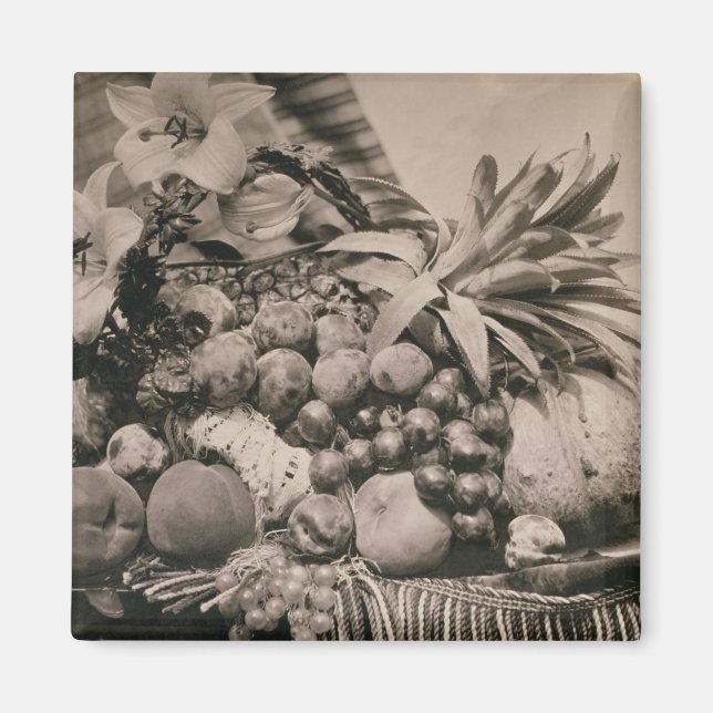 Imán Still Life with Fruit, 1860 (foto de sepia) (Frente)