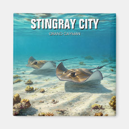 Imán Stingrays en Gran Caimán