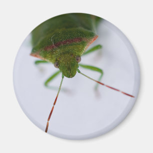 Imán Stink Eye Magnet