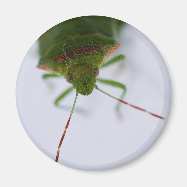 Imán Stink Eye Magnet (Frente)