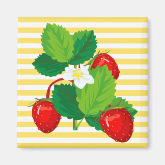 Imán Strawberries Magnet
