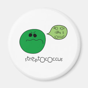 Imán Streptococcus