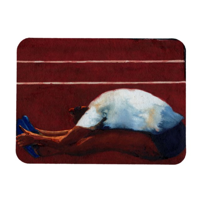 Imán Stretch 2011 (Horizontal)