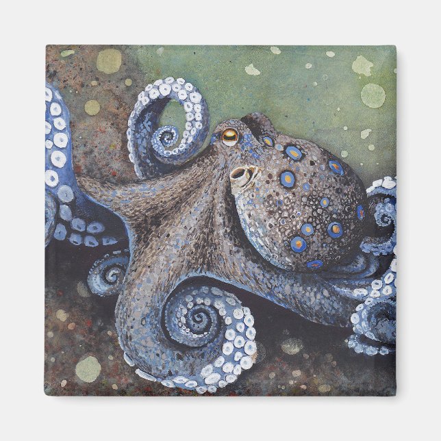 Imán Strut Magnet (Frente)