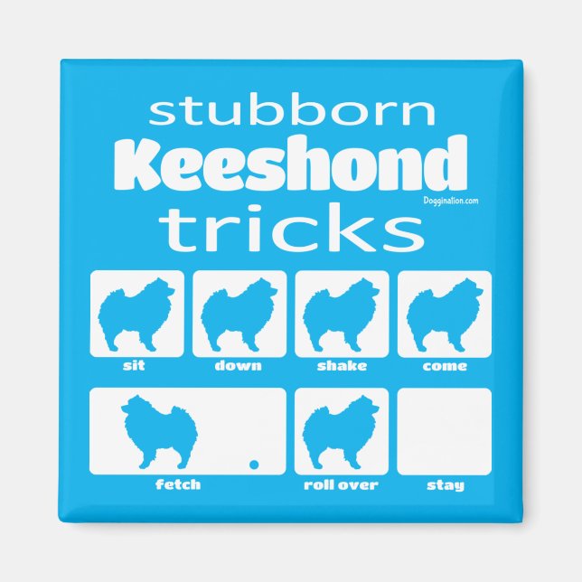 Imán Stubborn Keeshond Tricks Magnet (Frente)