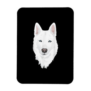 Imán Stunning White Siberian Husky - Sweet White Snow