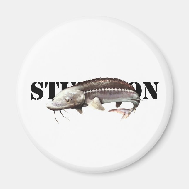 Imán Sturgeon (Frente)