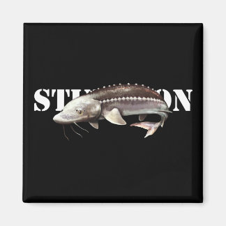 Imán Sturgeon