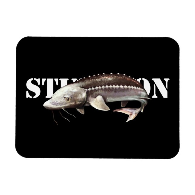 Imán Sturgeon (Horizontal)