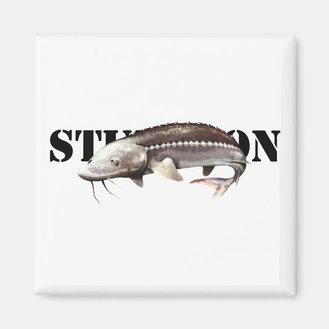 Imán Sturgeon (Frente)